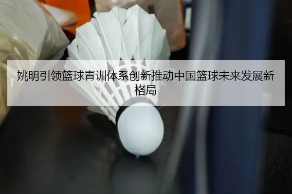 姚明引领篮球青训体系创新推动中国篮球未来发展新格局 - LEYU SPORTS